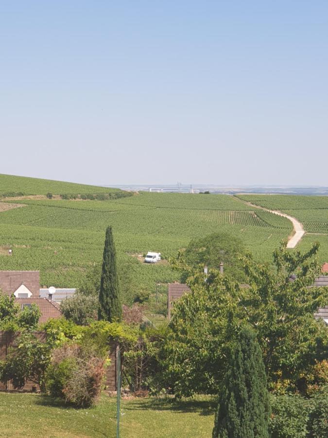Les Pressoirs Appartement Nogent-l'Abbesse Buitenkant foto