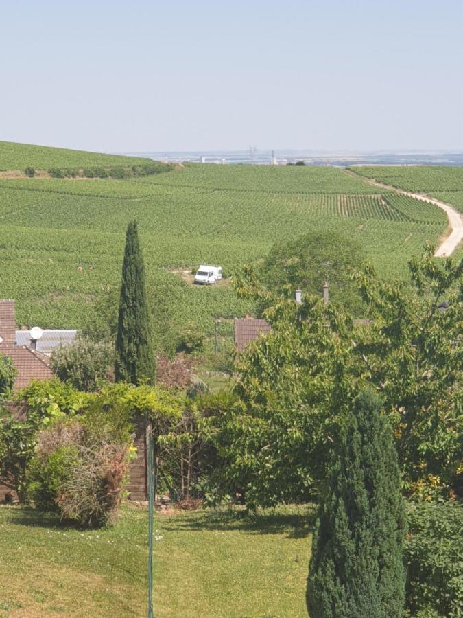 Les Pressoirs Appartement Nogent-l'Abbesse Buitenkant foto